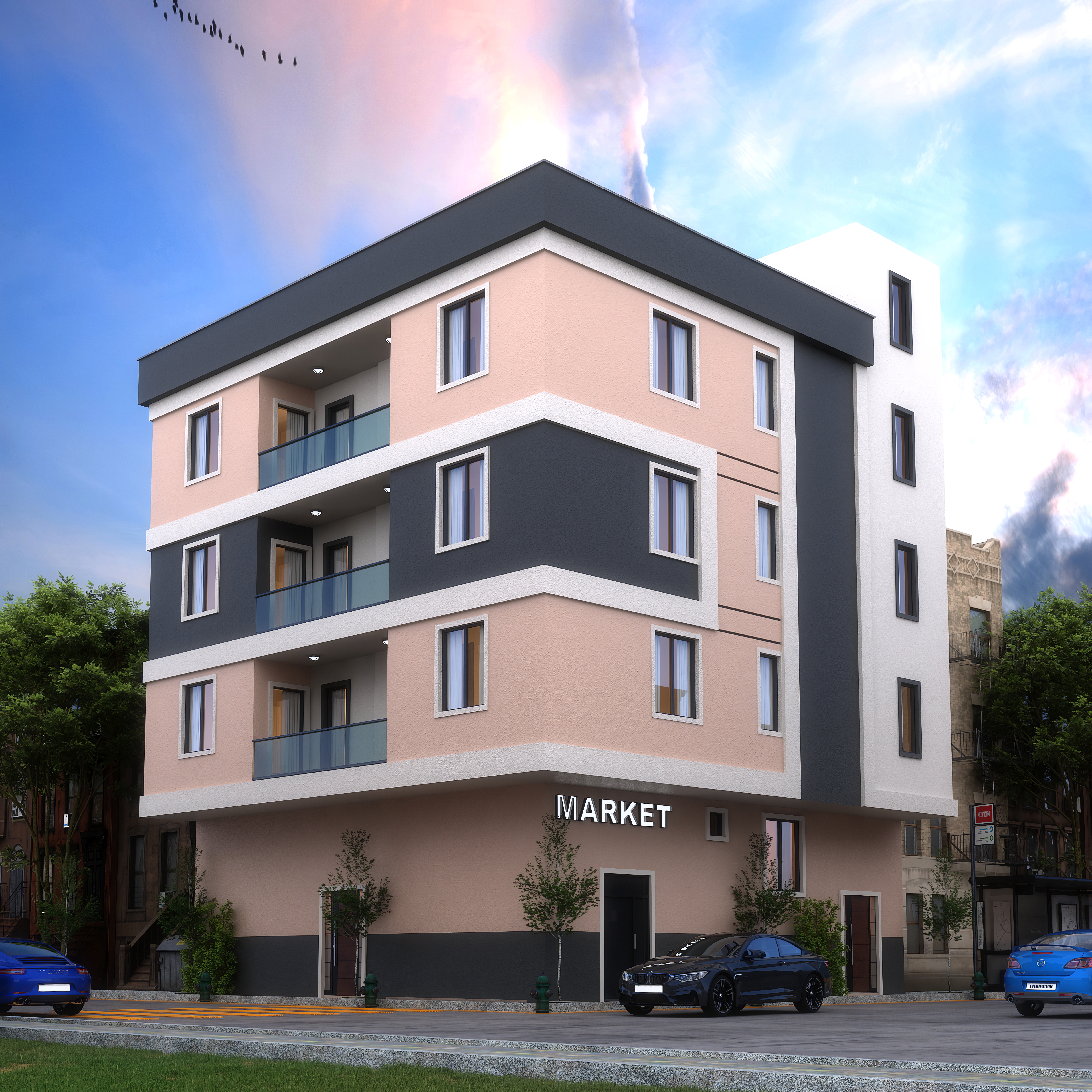 Shibis Projesi / Somali - 1