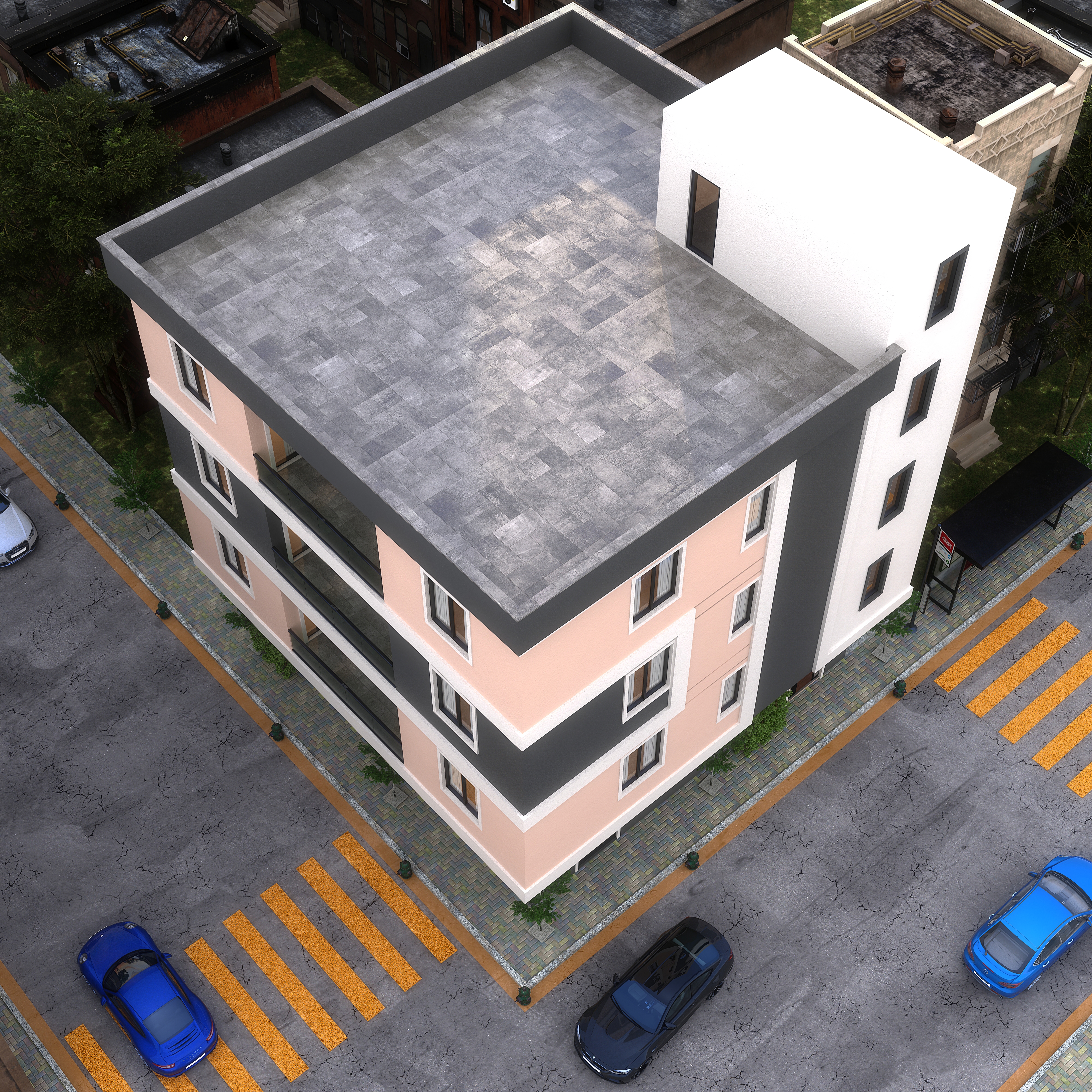 Shibis Projesi / Somali - 6